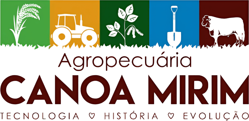 Canoa Mirim