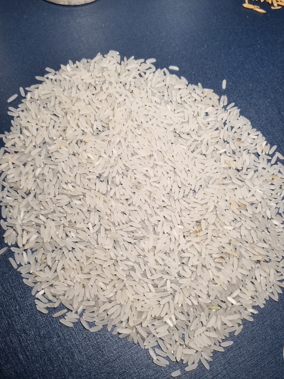 Amostra de arroz beneficiado separada sobre a bancada de classificação